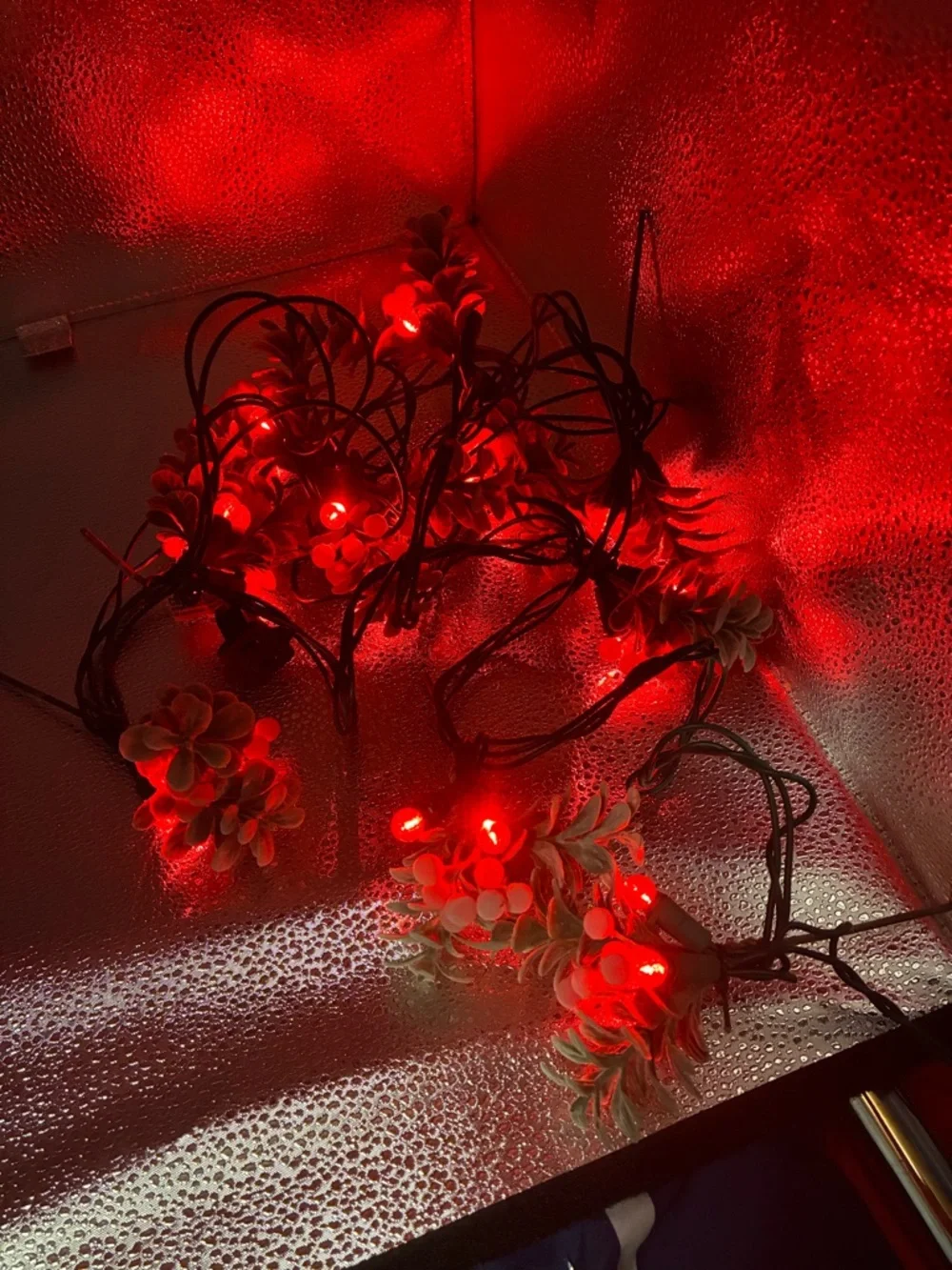 Philips LED Mistletoe Clusters in Red and Green - 10 Count